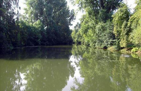 Regnitz