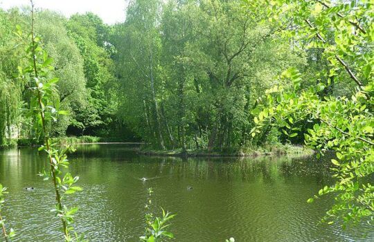 Tullnau-Park