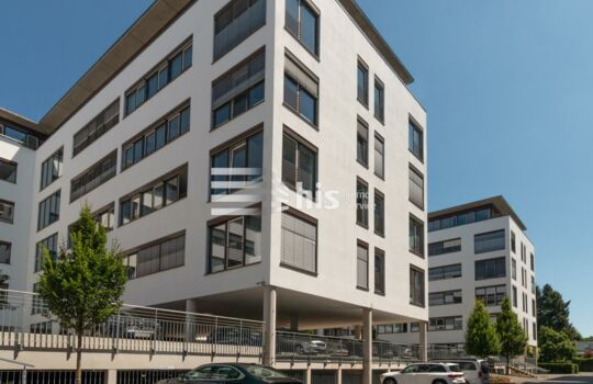 Marienberg - Penthouse || ab 620 m² || EUR 15,90
