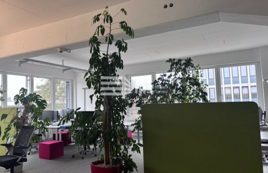 Bürofläche 6