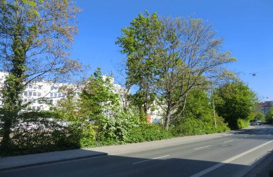 Umgebung 2