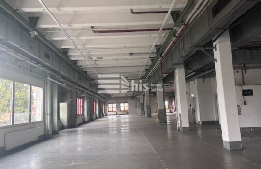 Halle 4