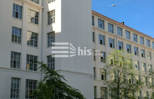 Nürnberg Gibitzenhof - The Plant || ab 203 m² || EUR 11,00