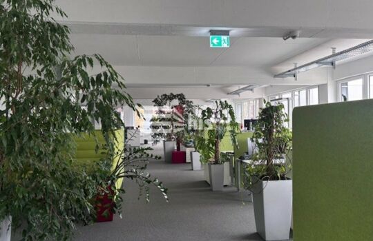 Bürofläche 3